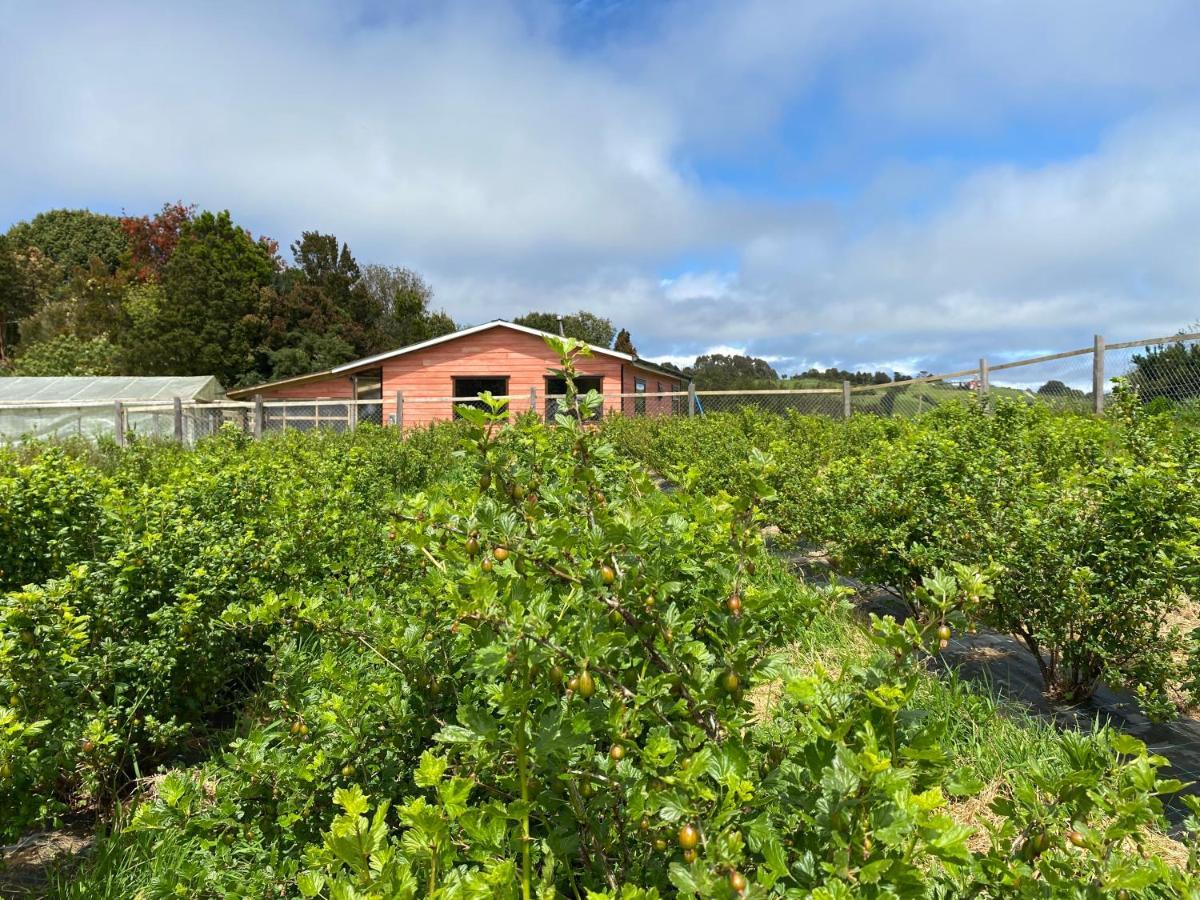 Cabana Nueva En Ancud Chiloe Ngoại thất bức ảnh