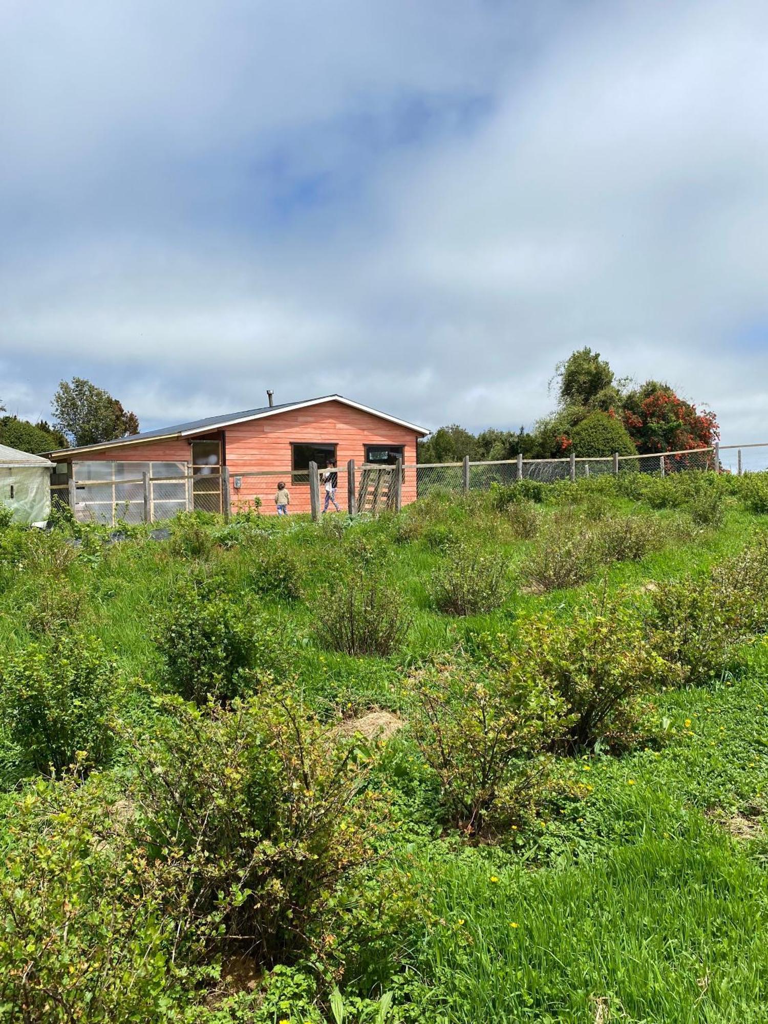 Cabana Nueva En Ancud Chiloe Phòng bức ảnh